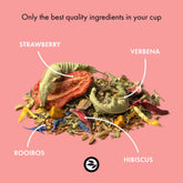 Rooibos Tee Zitrus Kräuter Geschmack – Summer Miracle
